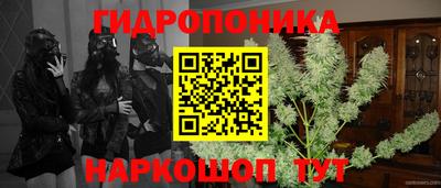 ГАЛЛЮЦИНОГЕННЫЕ ГРИБЫ Кимры