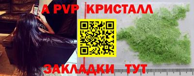 герыч Кингисепп