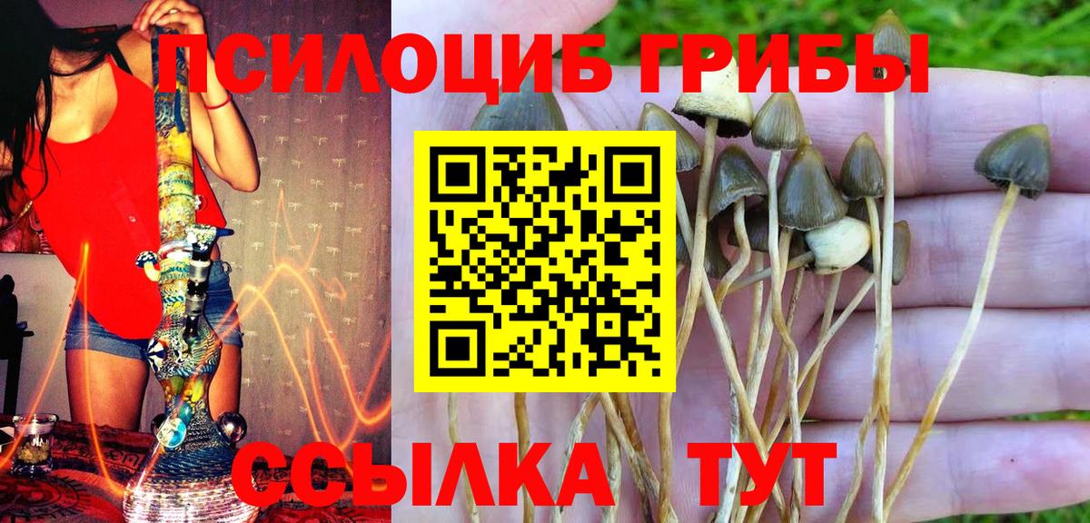 Краснознаменск  Псилоцибиновые грибы Magic Shrooms  Вход с VPN 